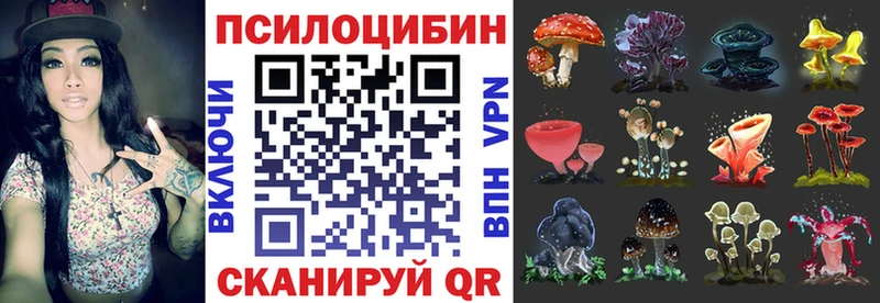 Галлюциногенные грибы Magic Shrooms  купить наркоту  Тула 